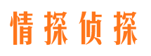 安宁市调查公司